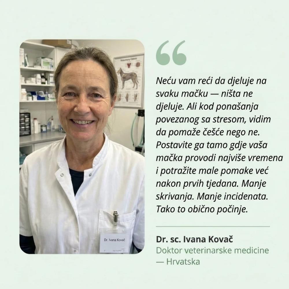 Veluna Difuzor s Feromonima za Mačke