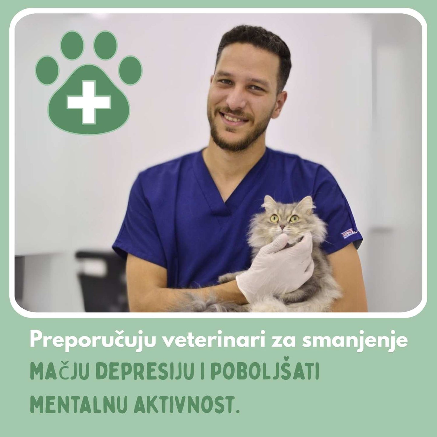 Veluna Interaktivna Igračka za Češanje za Mačke