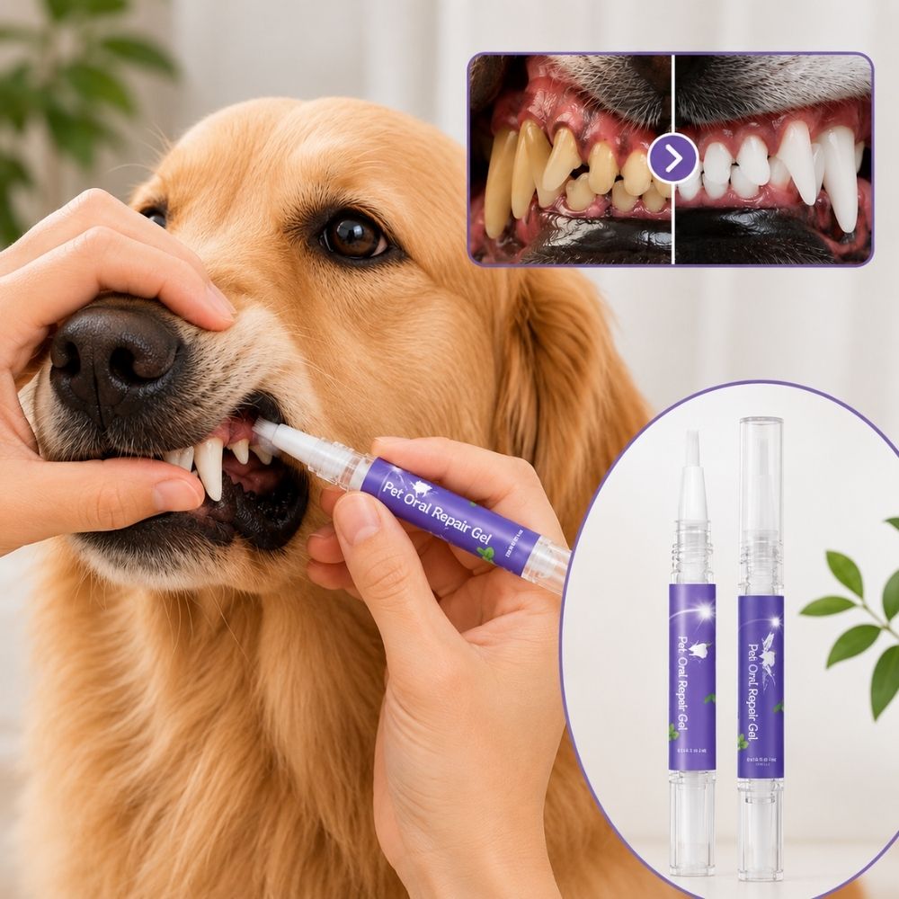 Dentalni gel olovka