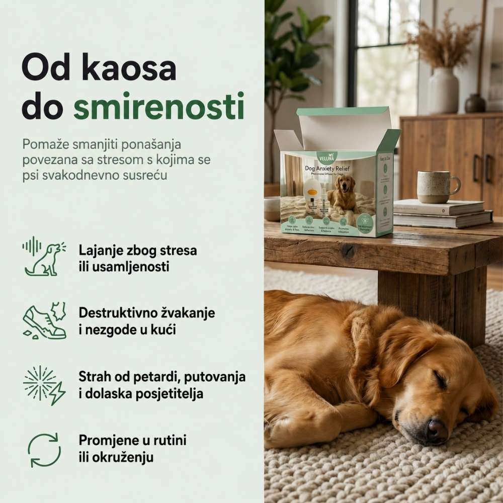 Veluna Feromonski Difuzor za Pse