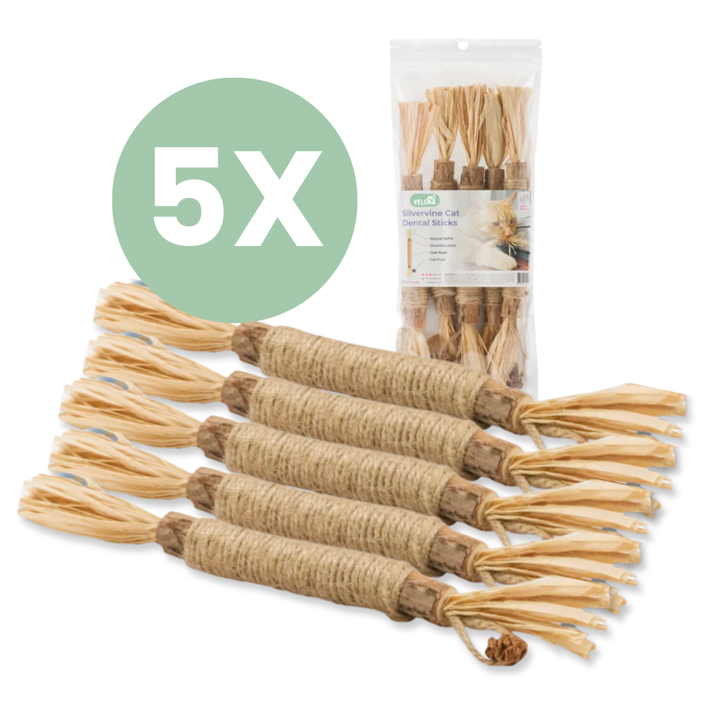 DentaSticks – Silvervine zubne štapiće za mačke