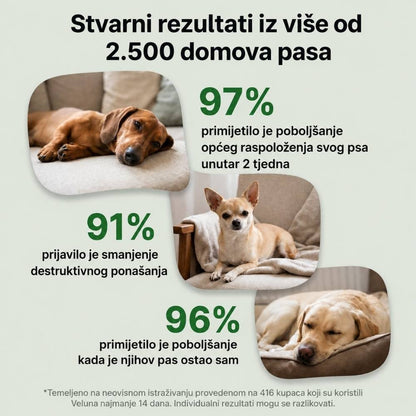 Veluna Feromonski Difuzor za Pse