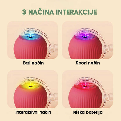 Veluna Smart Ball za Pse