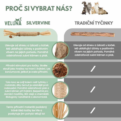 Silvervine dental sticks upsell SK