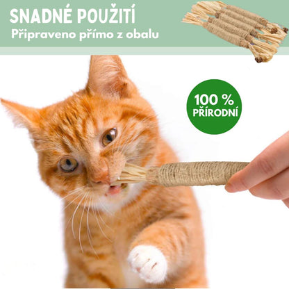 Silvervine dental sticks upsell SK