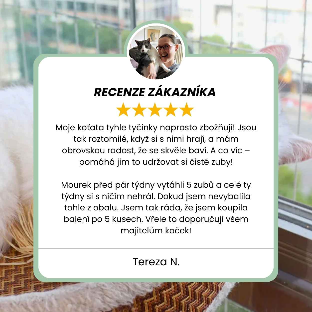 Silvervine dental sticks upsell SK