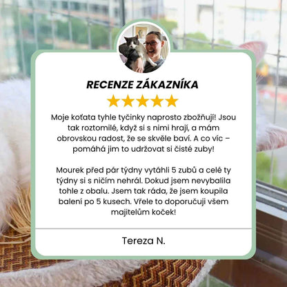 Silvervine dental sticks upsell SK