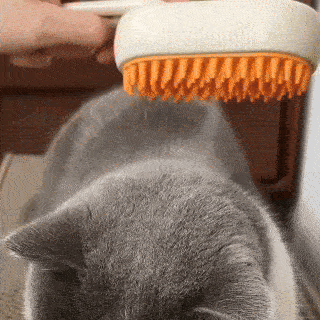 Veluna Steam Brush za mačke