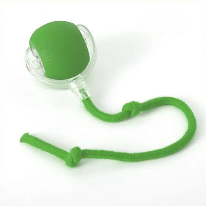 Veluna Smart Ball za Pse