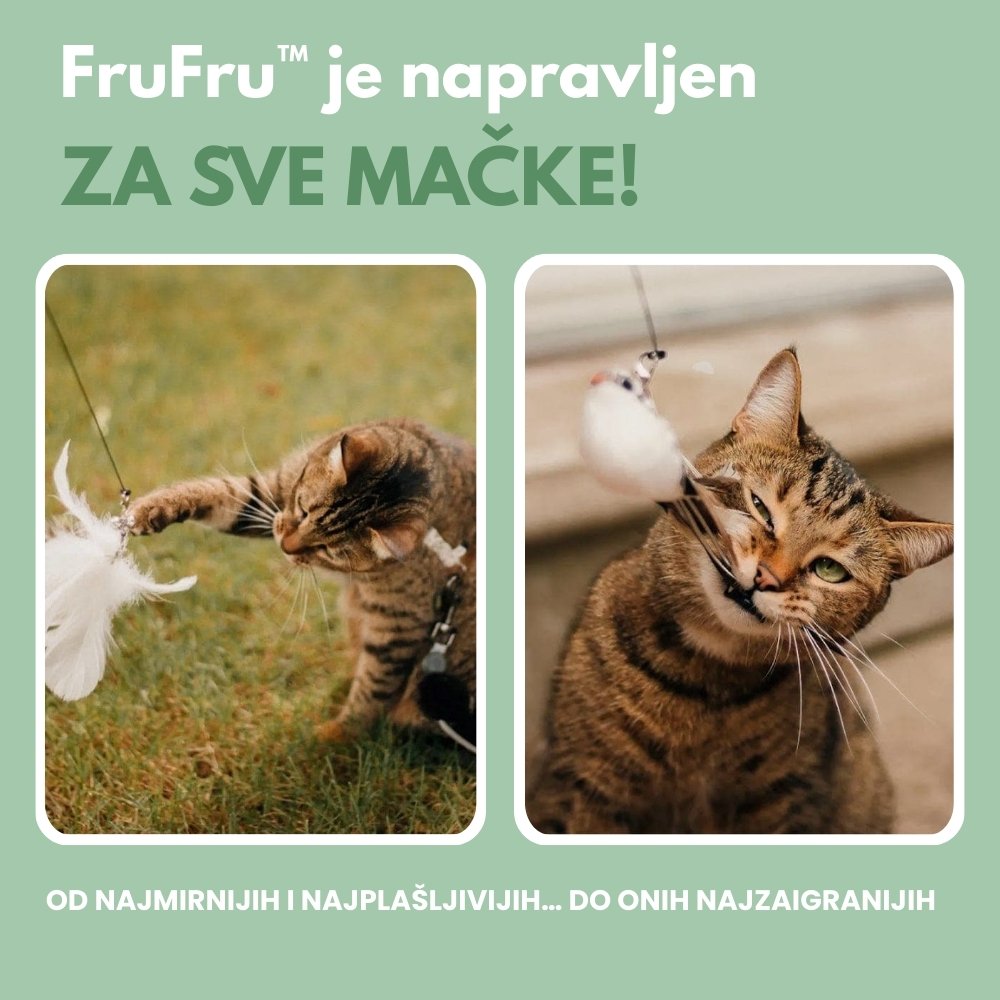 Interaktivna igračka za mačke s perjem, viseća i elastična