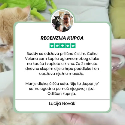 Veluna Steam Brush za Pse