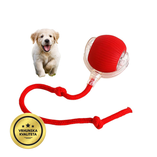 Pametna i interaktivna loptica za vašeg psa – puni se putem USB-a