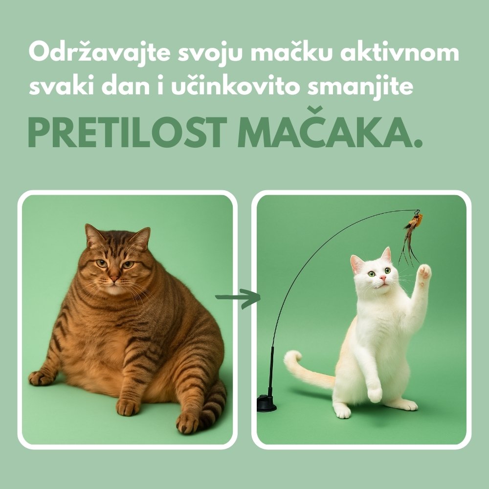 Interaktivna igračka za mačke s perjem, viseća i elastična