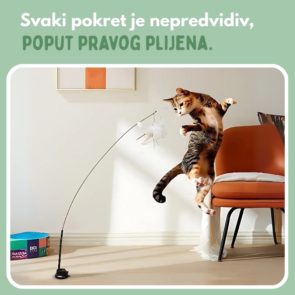 Interaktivna igračka za mačke s perjem, viseća i elastična