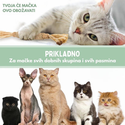 DentaSticks – Silvervine zubne štapiće za mačke