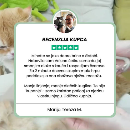 Veluna Steam Brush za mačke