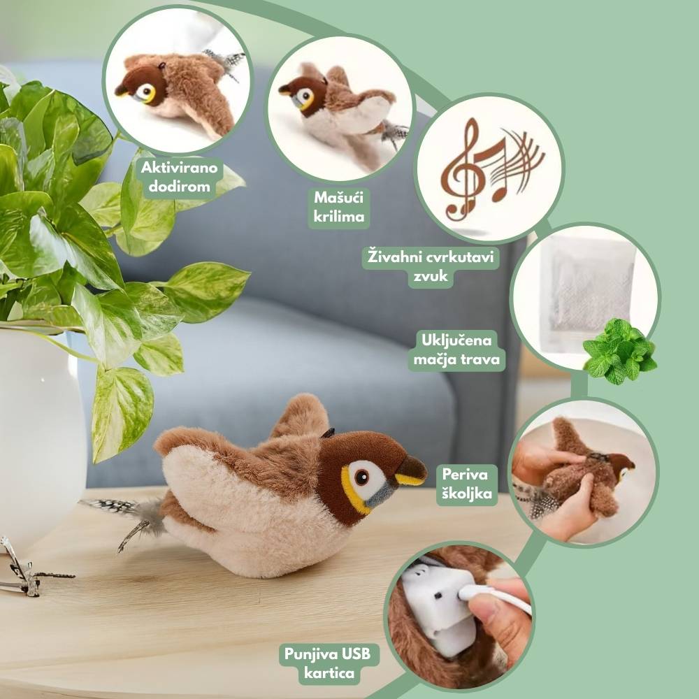 Interaktivna igračka ptica za mačke