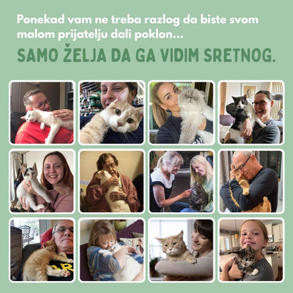 Interaktivna igračka ptica za mačke