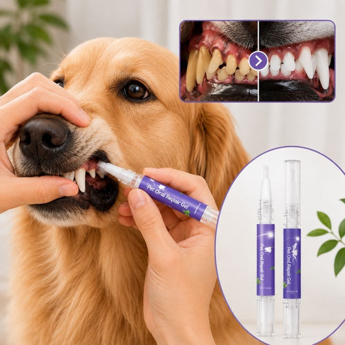 Dentalni gel olovka