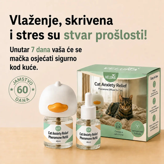 Veluna Difuzor s Feromonima za Mačke