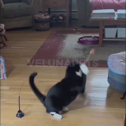 Interaktivna igračka za mačke s perjem, viseća i elastična