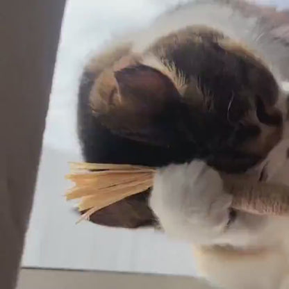 Silvervine dental sticks upsell SK